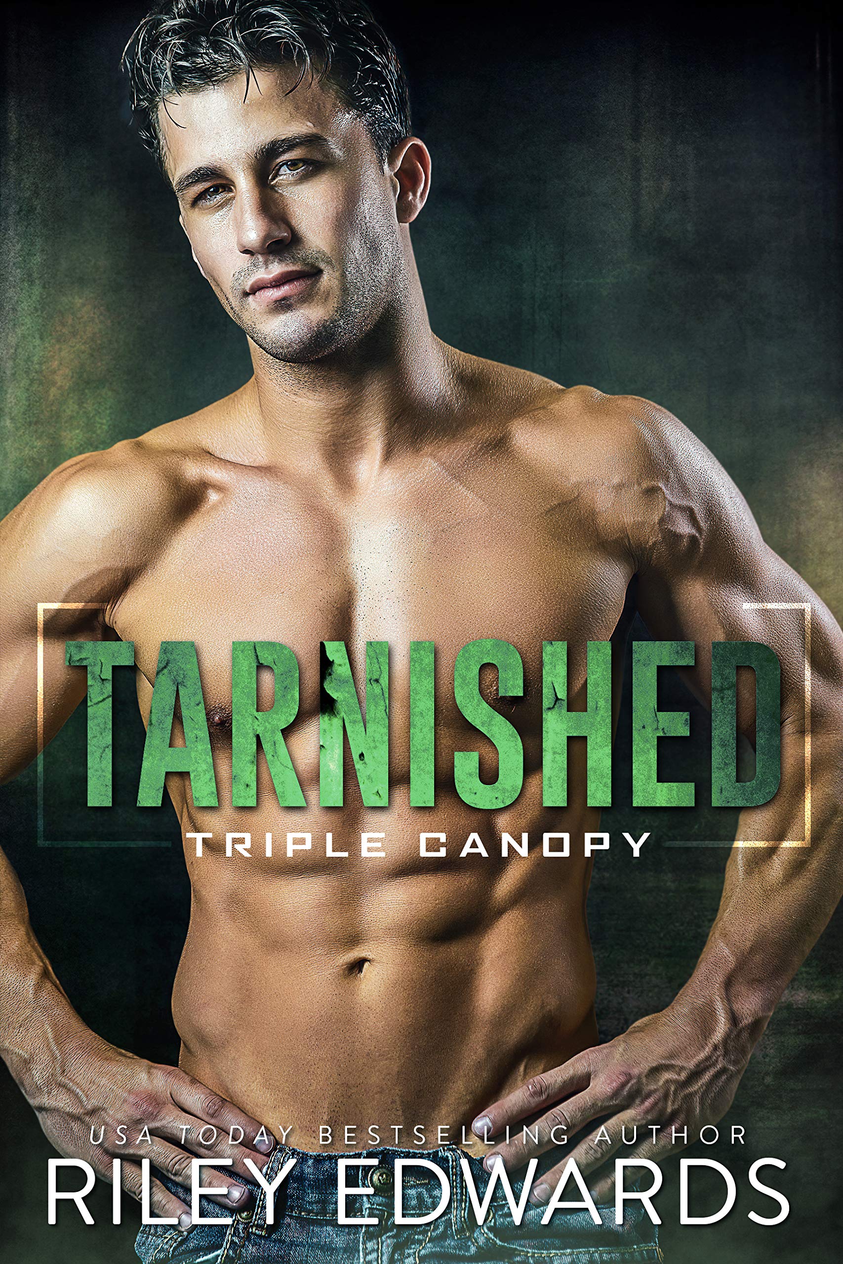 Tarnished: Triple Canopy, Book 4
