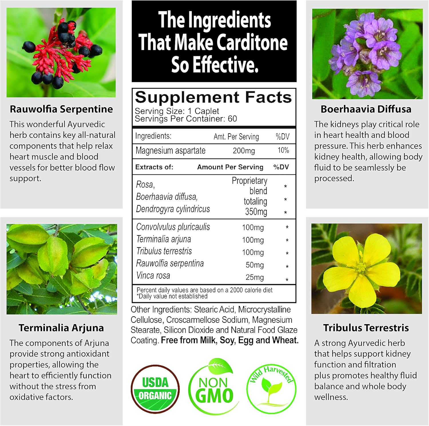 Ayush Herbs Carditone, Unbeatable Blood Pressure and Cardiovascular Support Herbal Supplement, 60 Tablets : Health & Household