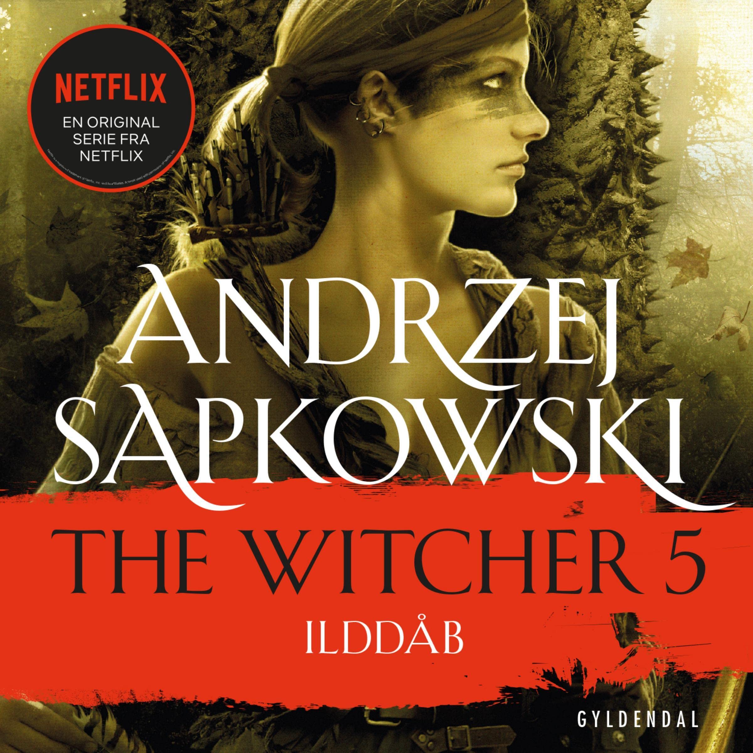 Cover art for Ilddåb