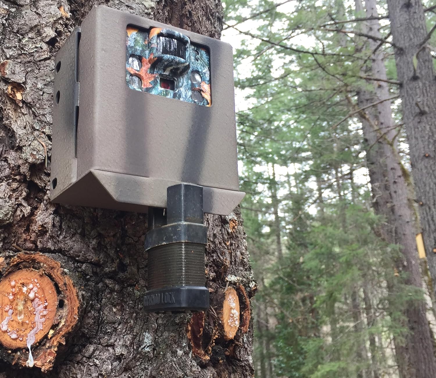 High Security Padlock 2 Pack - Military Grade Ideal for Storage Sheds, Toolboxes, Worksite, Gym Locker Lock, Portable Door Lock, Bolt Cutter Proof, Steel Alloy Design image 3 of 5 B07T1DVJ4G