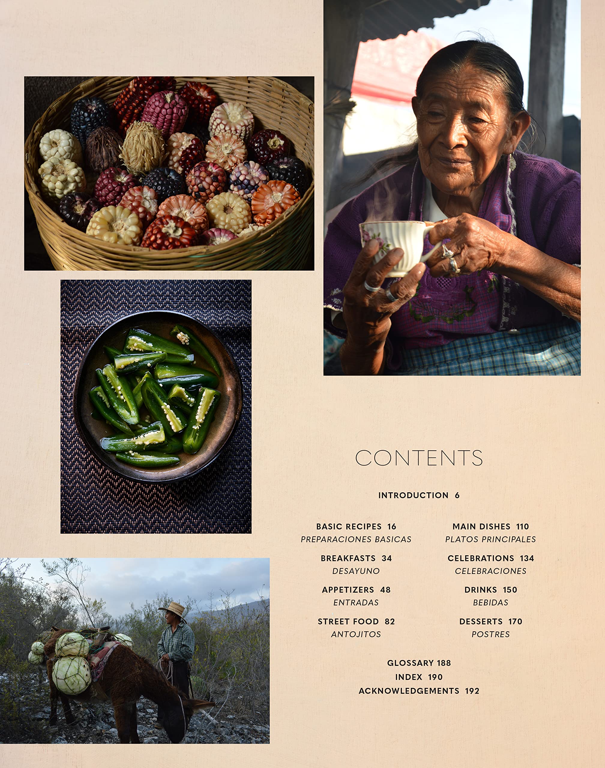 Cocina Mexicana: Fresh, Vibrant Recipes for Authentic Mexican Food