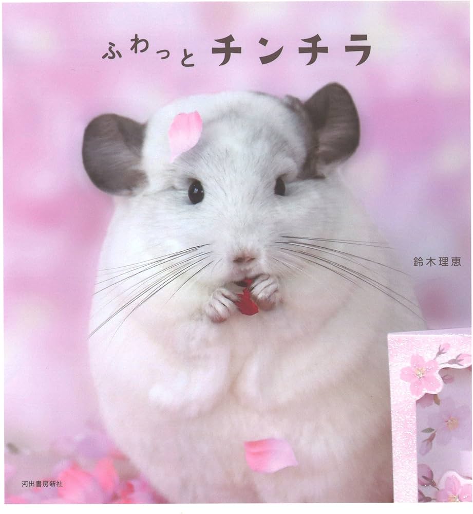 チンチラ プロフ必読‼️です❣️ Amazon.co.jp: やっぱりチンチランド(1) (電撃コミックスEX) : 大川 ぶ