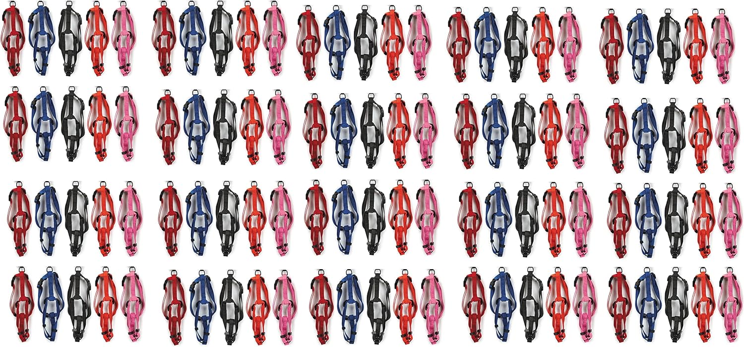 Dog Adjustable Nylon Harness Bulk Packs for Small and Medium Dogs Assorted Color (50 Harnesses)
