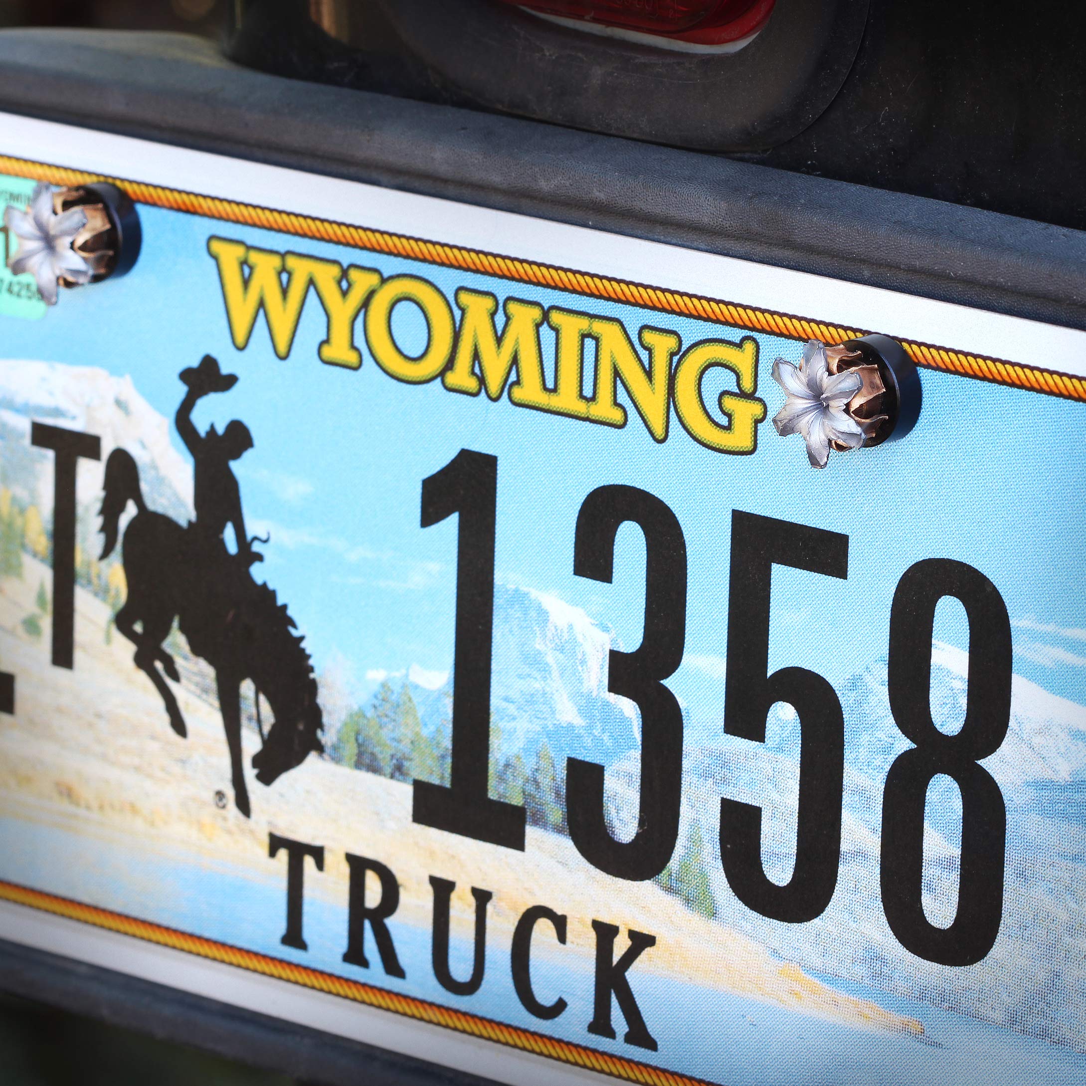 Automotive License Plate Security Bolts by Bullet Bouquets