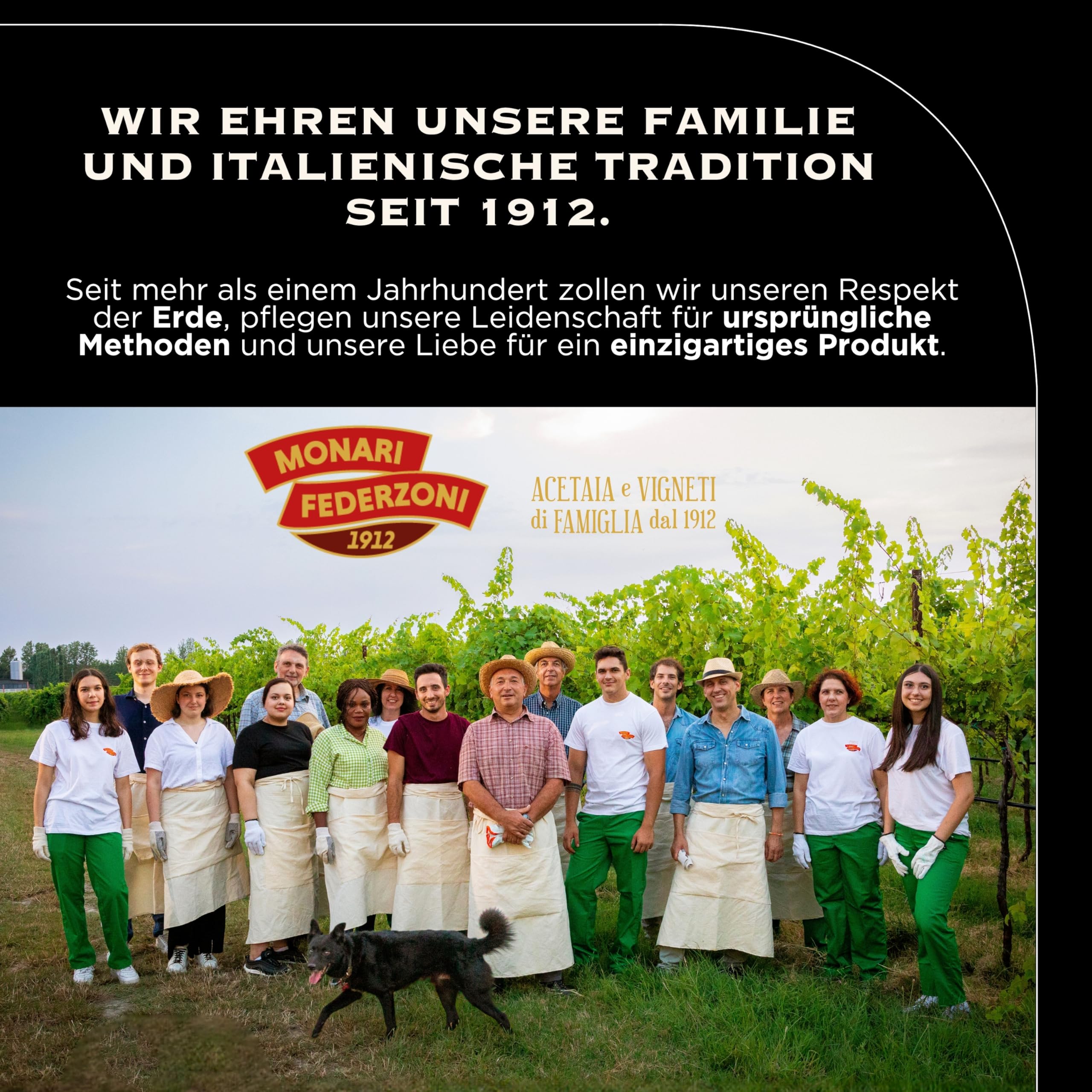 Monari Federzoni Balsamico Essig aus Modena DOP, 12 Jahre alt, traditionelles Produkt nur mit gekochtem Traubenmost – inklusive praktischem Spender – Schachtel mit 100 ml