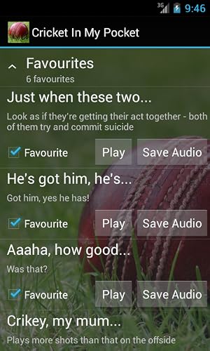 Cricket In My Pocket – vue 6