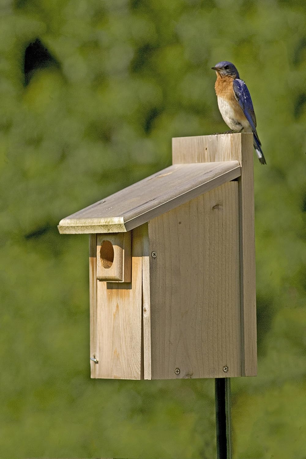 Stokes Select Bluebird Nesting House, Natural Wood