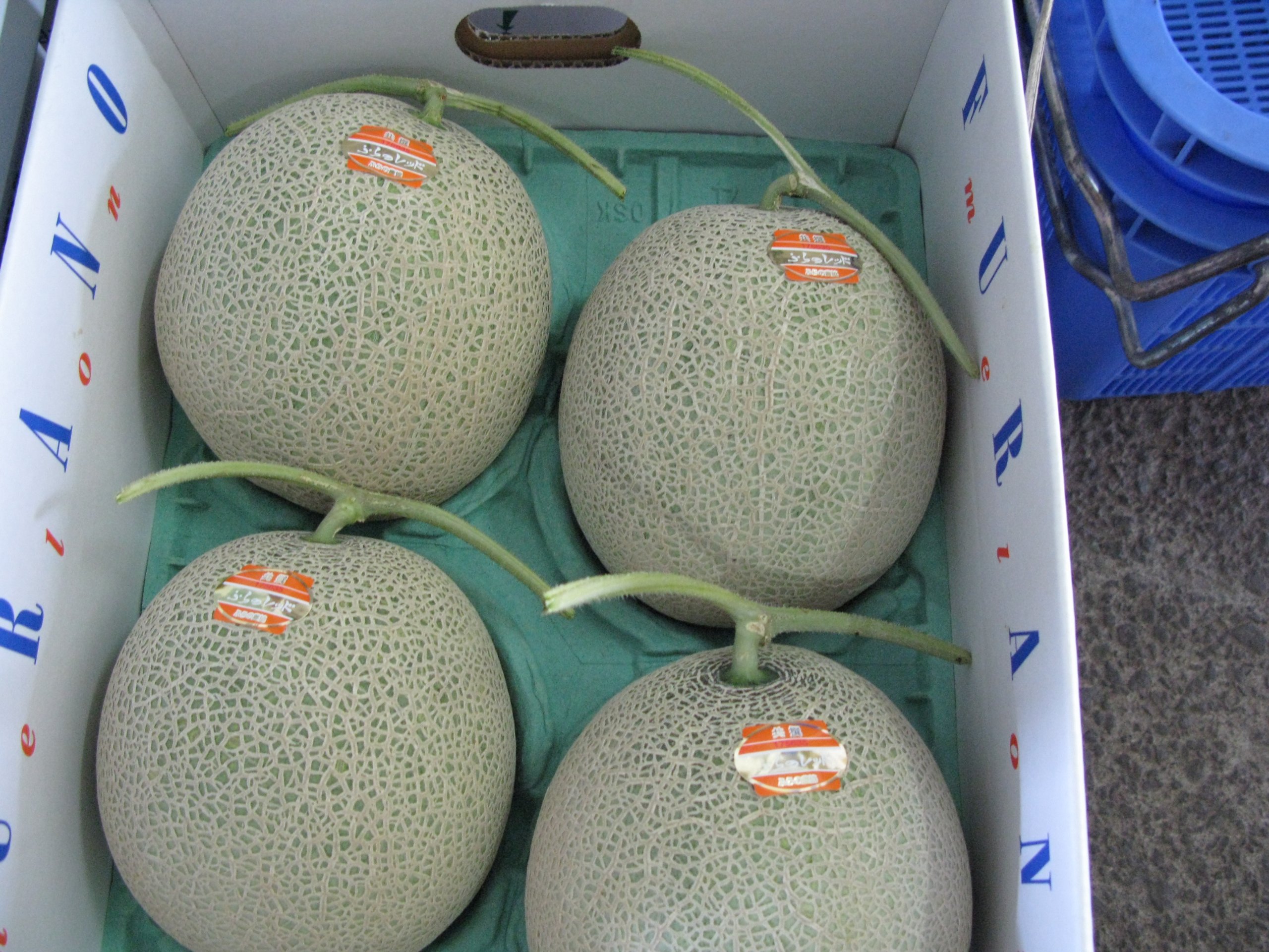 Amazon.co.jp: 北海道メロン 赤肉メロン 訳あり 北海道産 7kg- 8kg