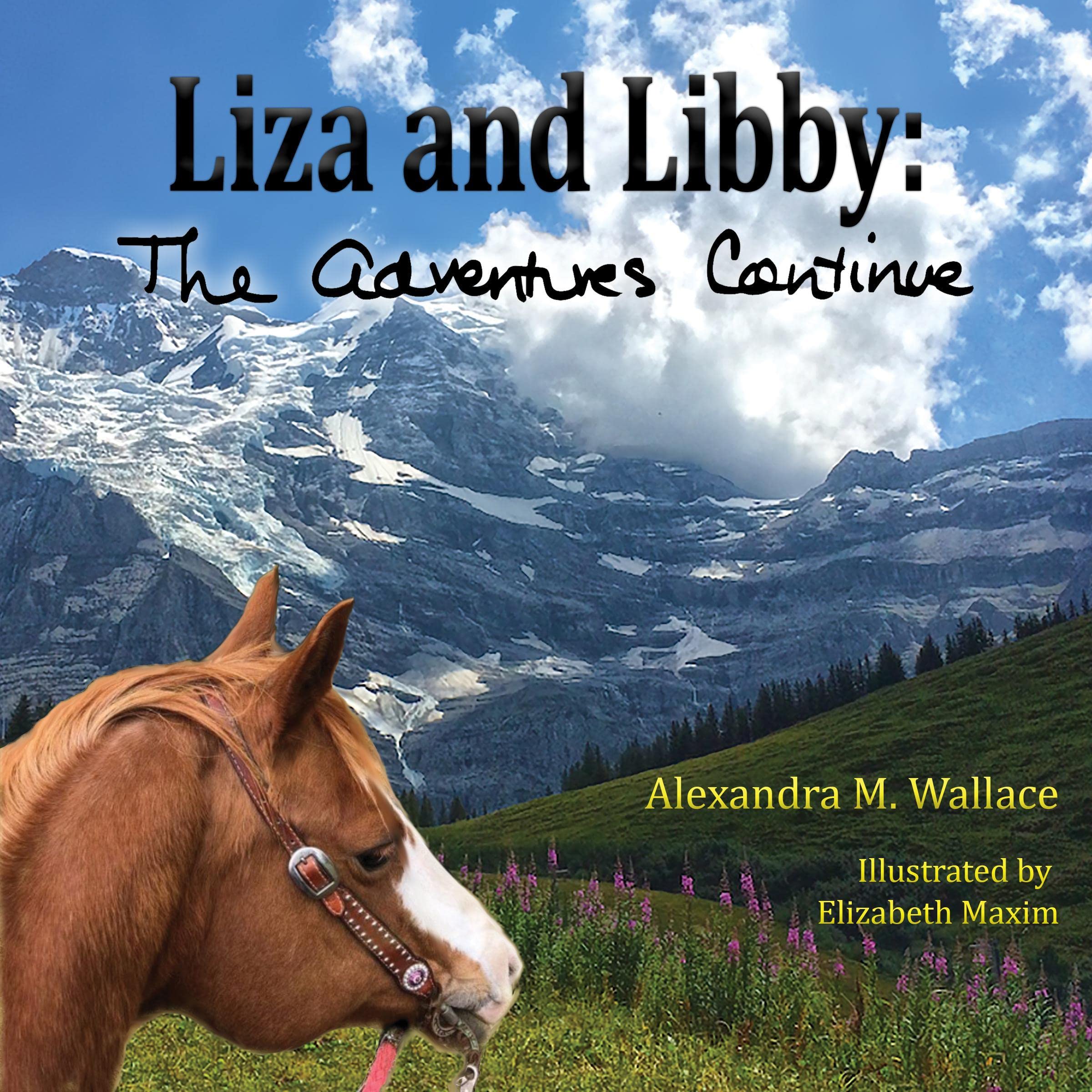 Cover art for Liza and Libby: The Adventures Continue