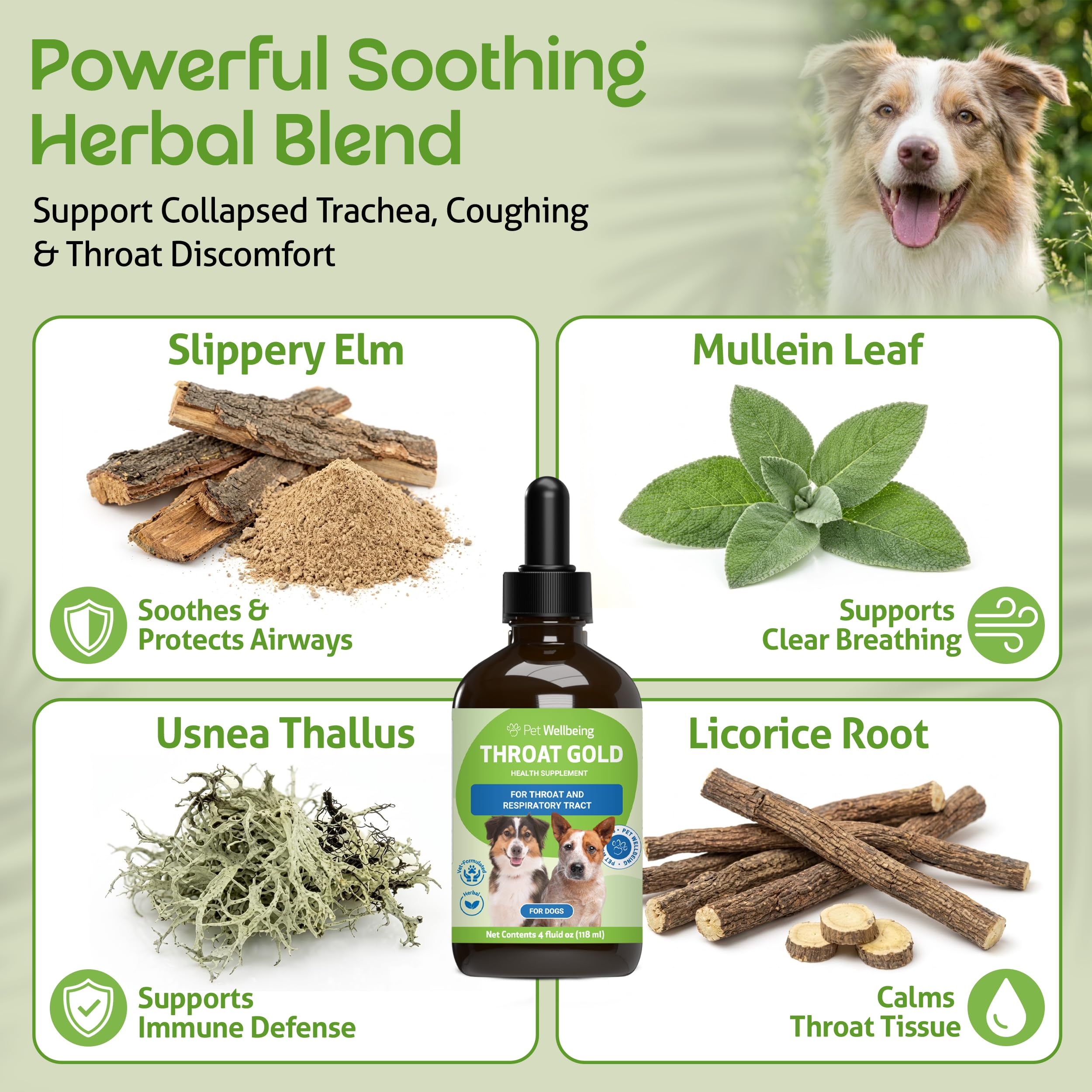 Pet Wellbeing Gola Oro - Tosse E Gola Succhietto.