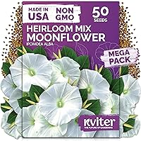 Vista 19 de KVITER 25 semillas de algodón blanco para plantar (Gossypium hirsutum) – Planta de algodón real, semillas de algodón para cultivo, semillas