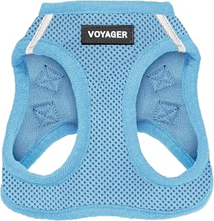 Voyager Step-in Air Dog Vest Harness - Baby Blue, Medium | 16 - 18&amp;quot; in Chest, Reflective Bands, All Weather Breathable Air Mesh, Cats Compatible, Lightweight, Fast Drying