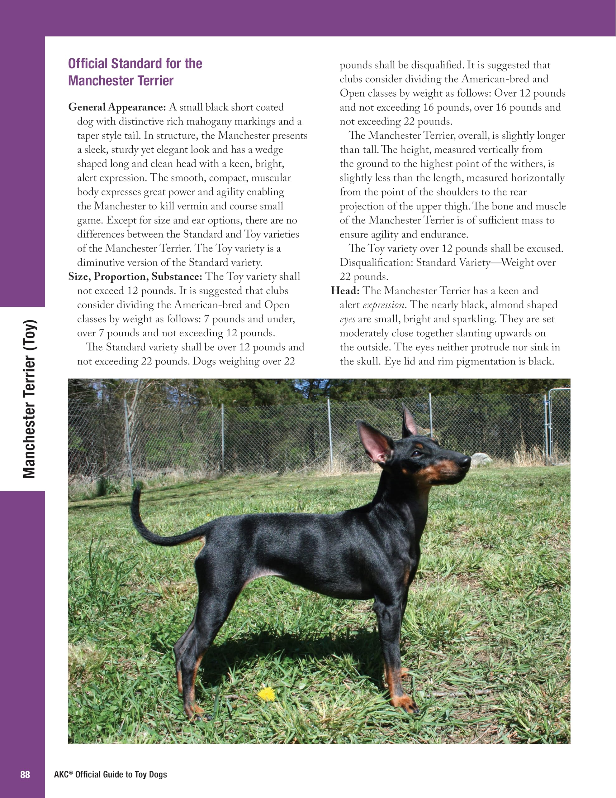 Amazon.co.jp: The American Kennel Club The American Kennel Club