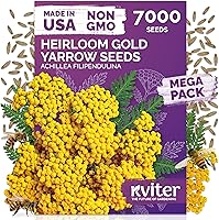 Vista 22 de KVITER 25 semillas de algodón blanco para plantar (Gossypium hirsutum) – Planta de algodón real, semillas de algodón para cultivo, semillas