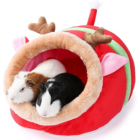 guinea pig bed amazon