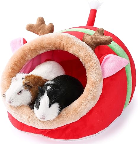 amazon guinea pig bed