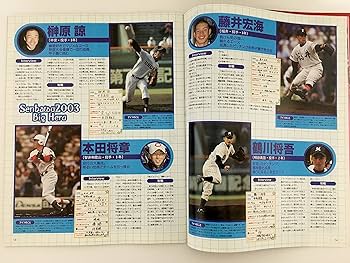 甲子園の星 2025年最新】Yahoo!オークション -輝け甲子園の星1987の中古品