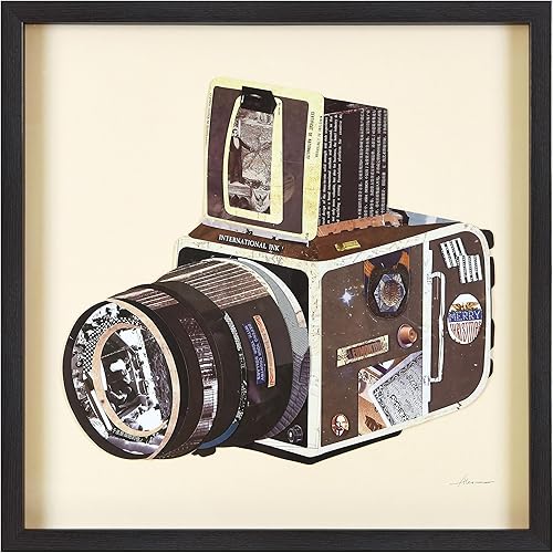 Empire Art Direct Papel gráfico enmarcado con collage dimensional bajo el vidrio, arte de pared por Alex Zeng listo para colgar, 25 x 25 pulgadas,