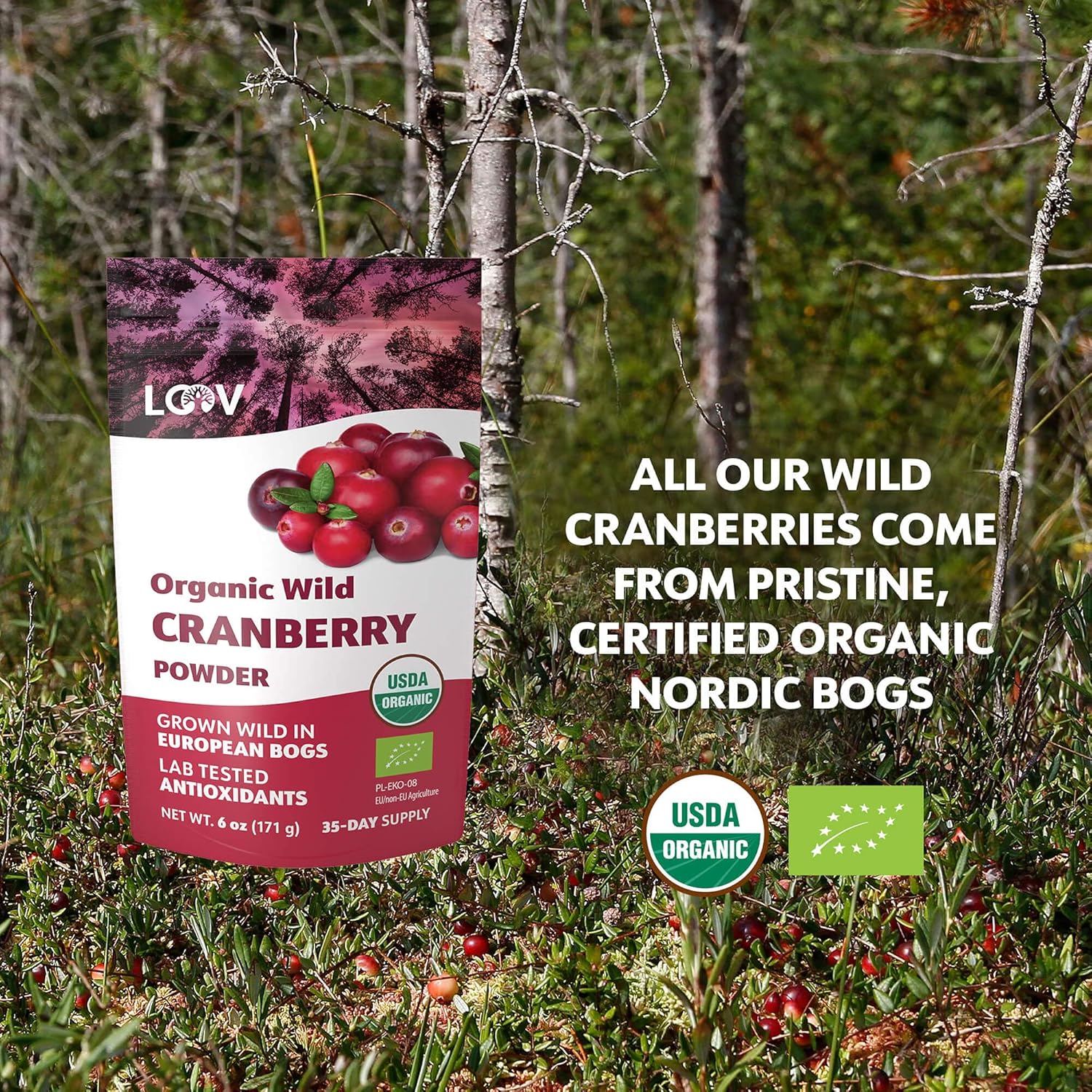 Organic Freeze-Dried Cranberry Powder – Pure, 100% Natural Wild Whole Fruit, Certified Organic from Nordic Forests – Non-GMO, No Added Sugar – 6oz (35 Servings)