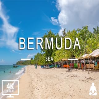Música relaxante junto com belos vídeos da natureza (4K Vídeo Ultra HD)