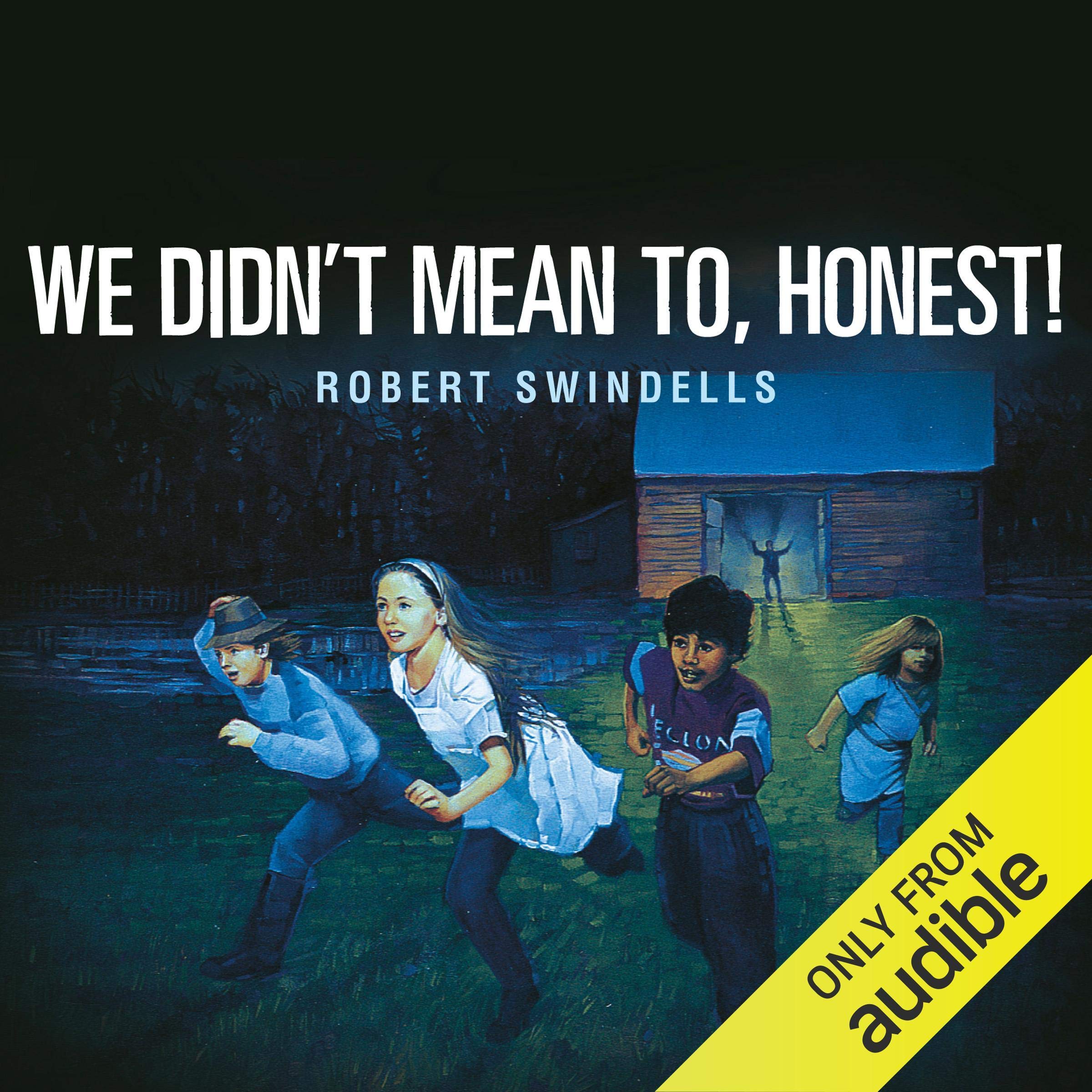 We Didn't Mean To, Honest