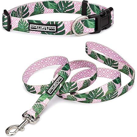 lucky dog leash