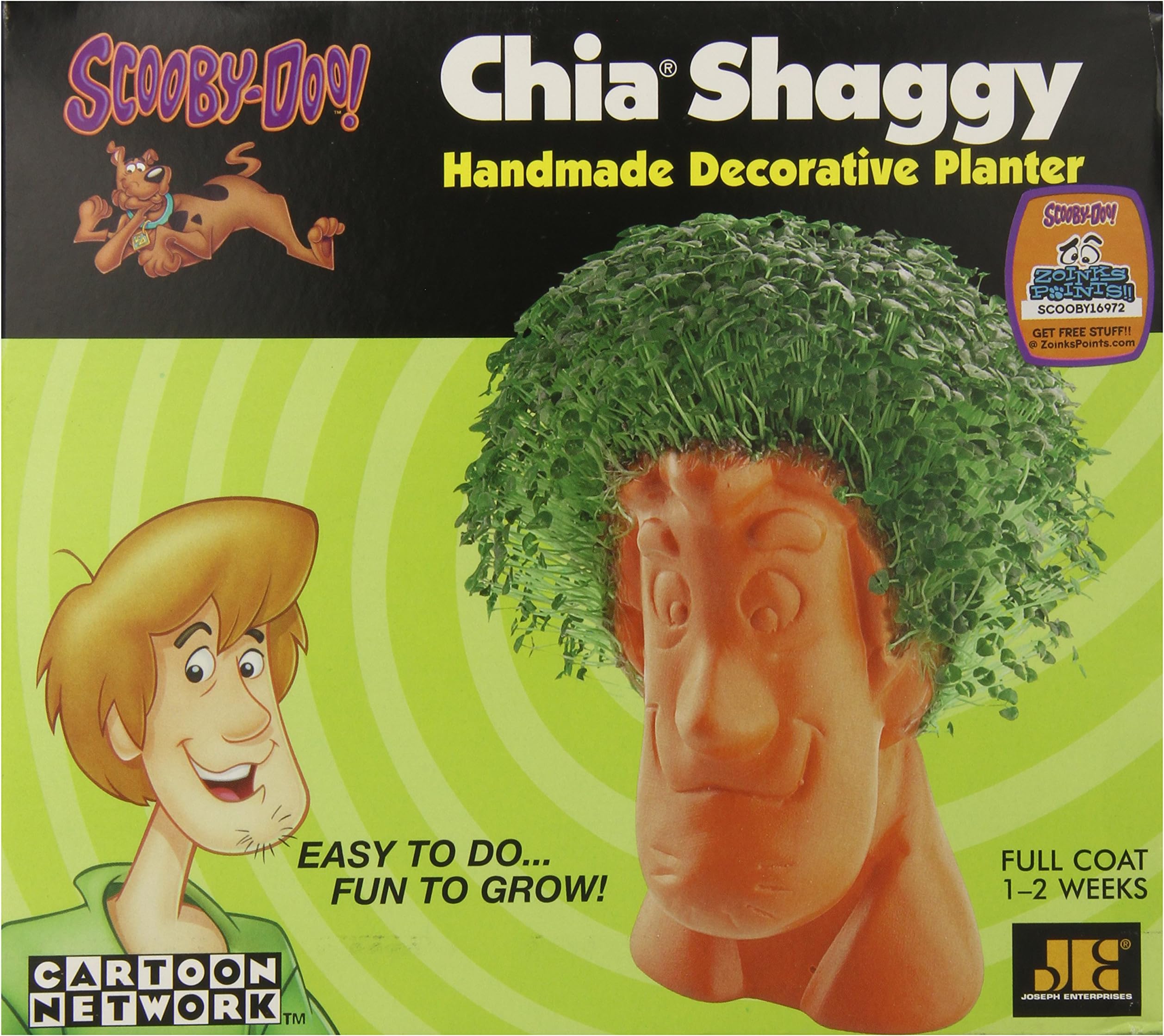 Chia Shaggy Collectable