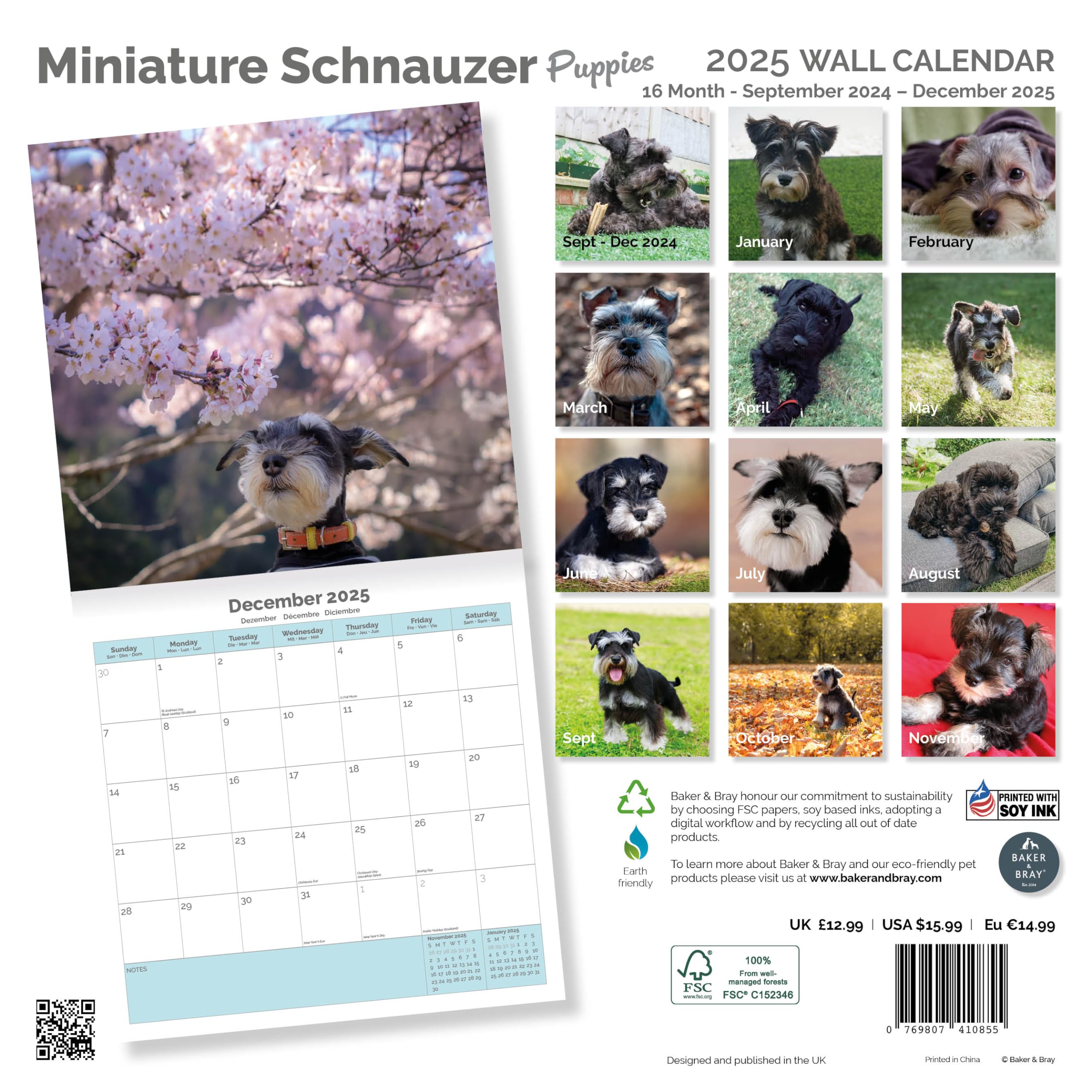 Baker and Bray Miniature Schnauzer Puppies Calendar 2026, Large Square Wall Calendar With Organisational Stickers, 16 Month - Image 2
