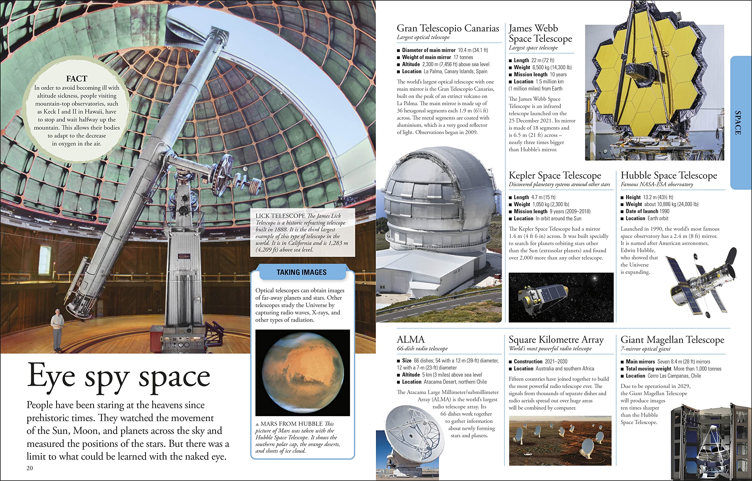 The New Children's Encyclopedia: A Visual Encyclopedia of Thousands of Facts, Stats, and Illustrations (DK Children's Visual Encyclopedia)