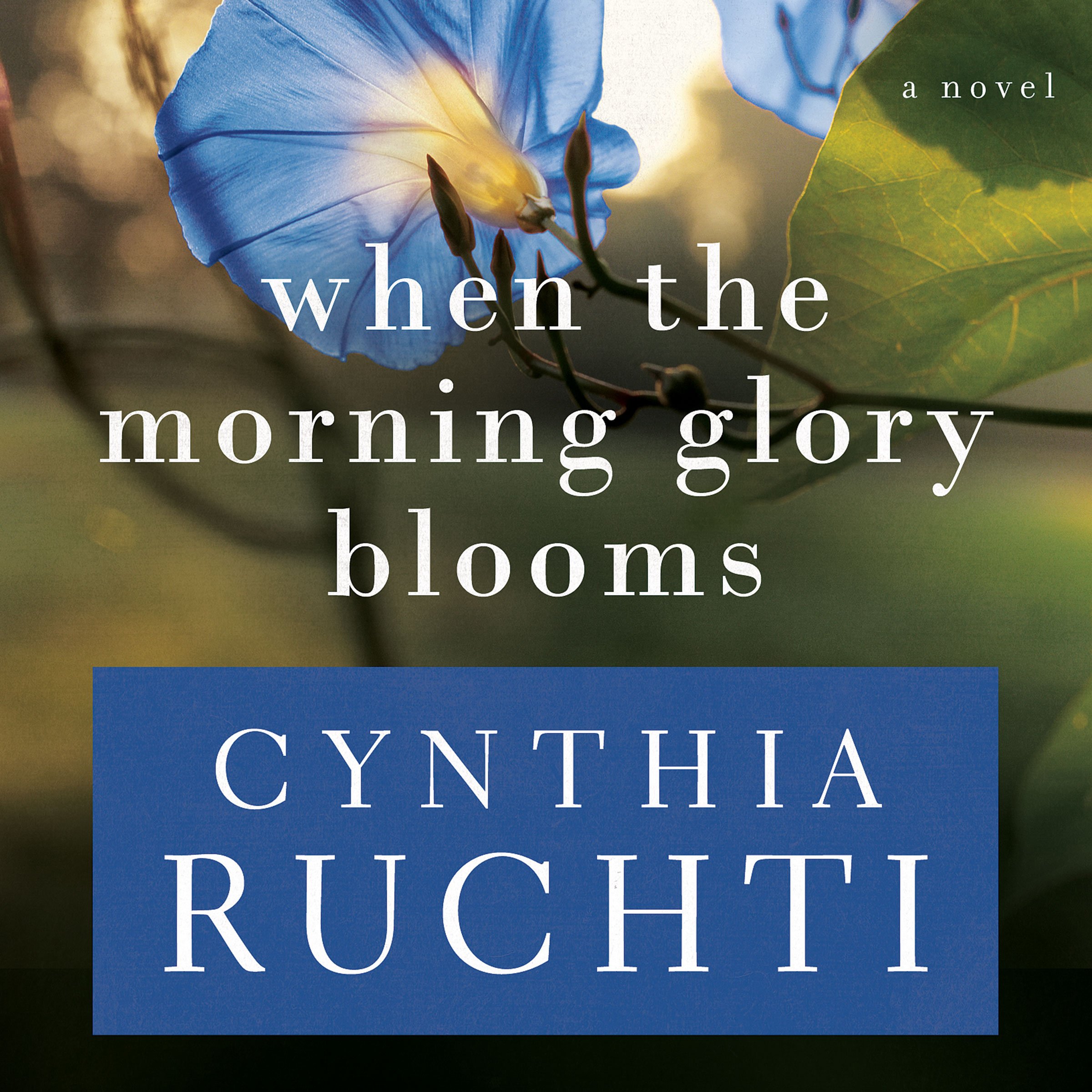 Cover art for When the Morning Glory Blooms