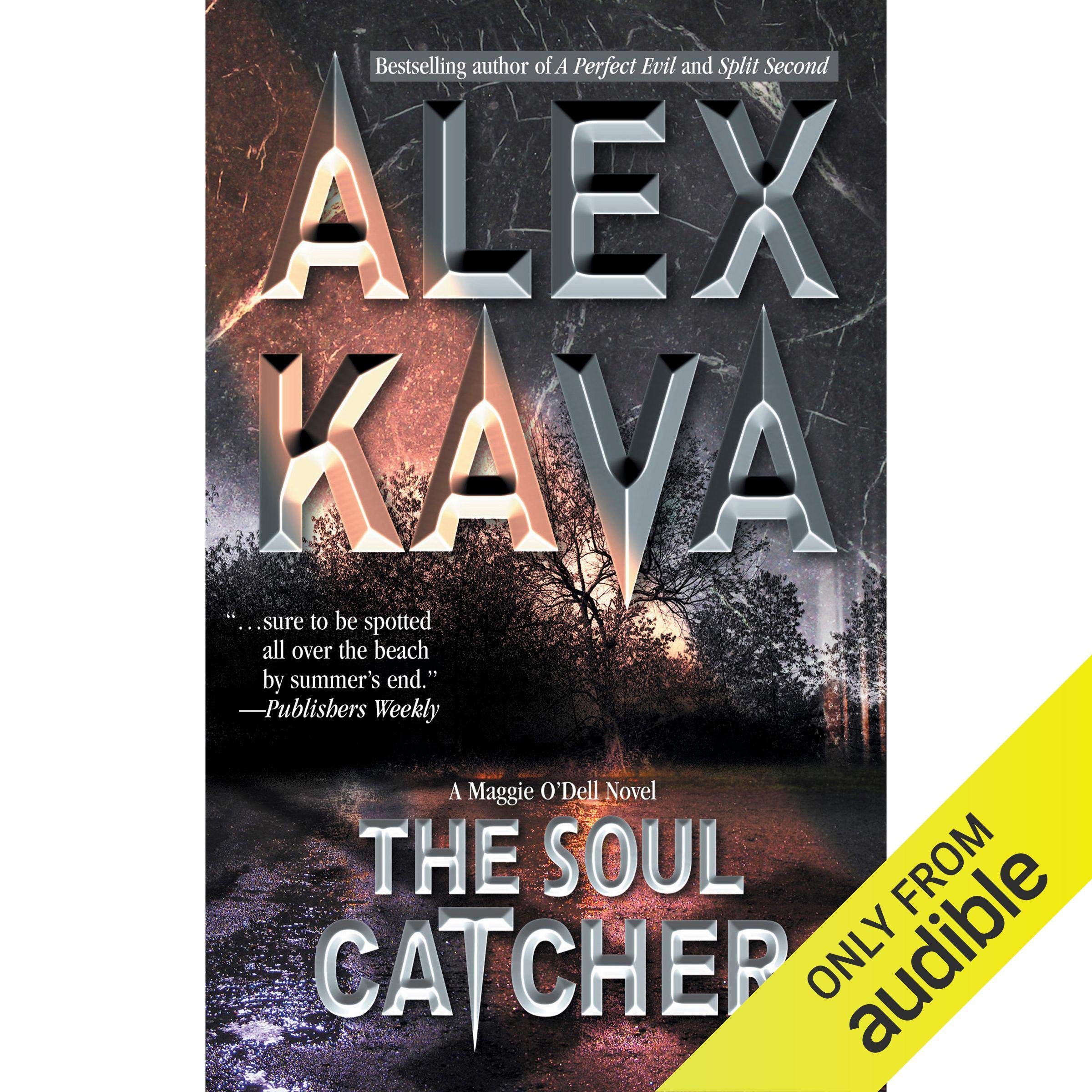 Cover art for The Soul Catcher