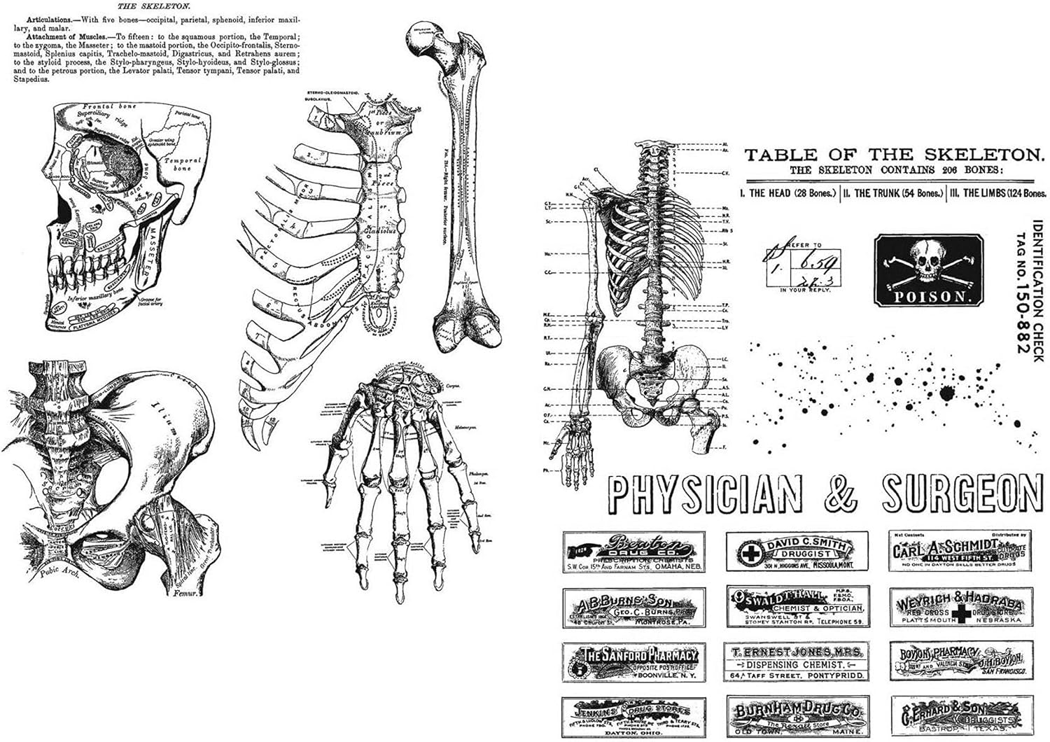 Tim Holtz Stampers Anonymous Anatomy Chart (CMS411) and Examination (CMS412) Cling Stamps, Bundle of 2 Items