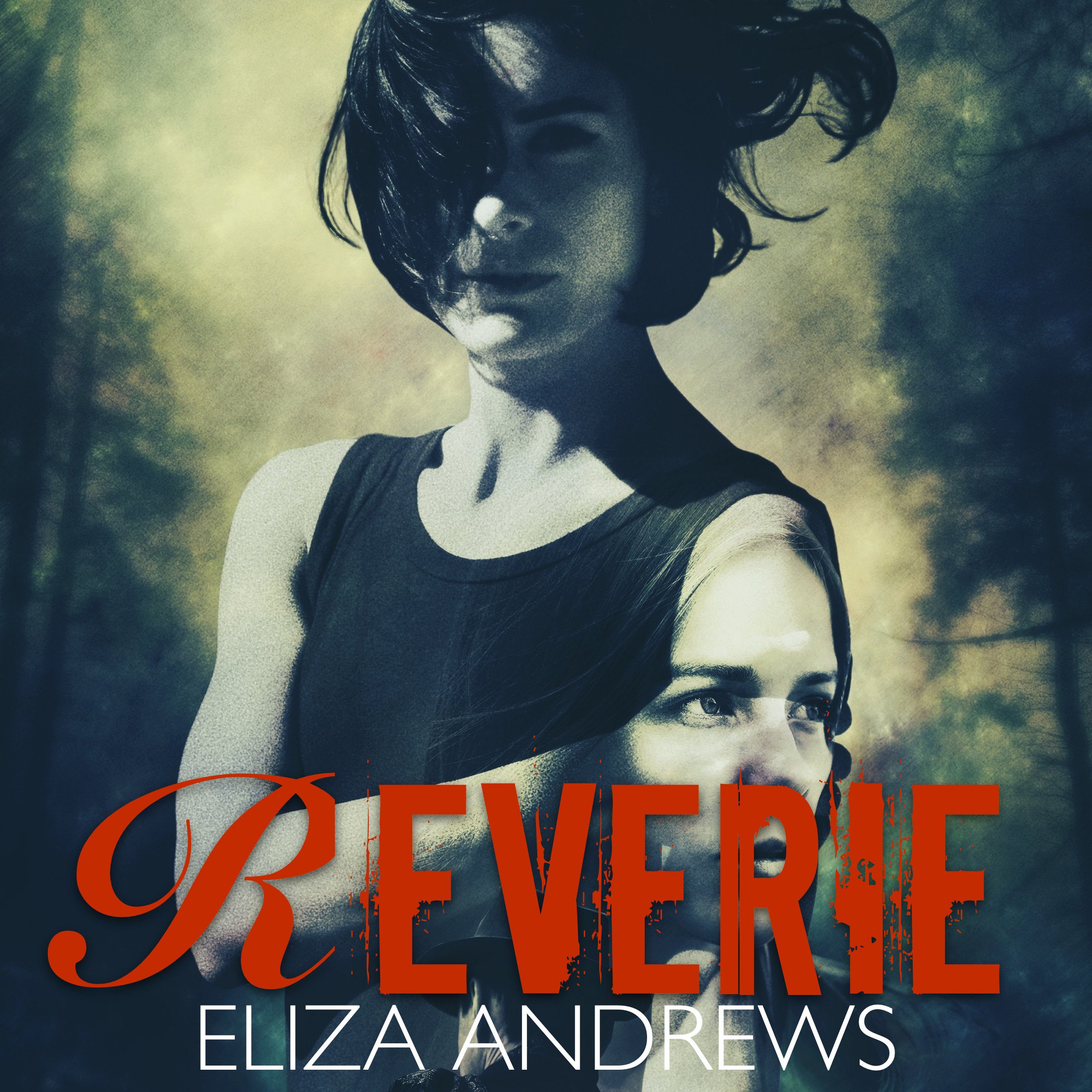 Cover art for Reverie