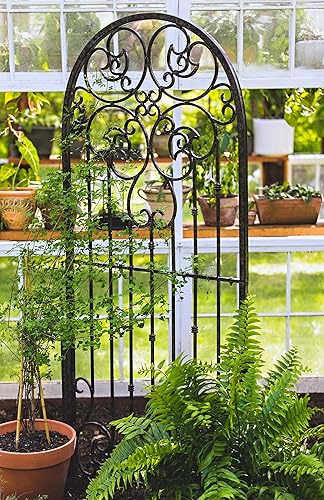 Miniatura 5 de H Potter Enrejado de jardín para plantas trepadoras, panel de pared de metal forjado para plantas trepadoras