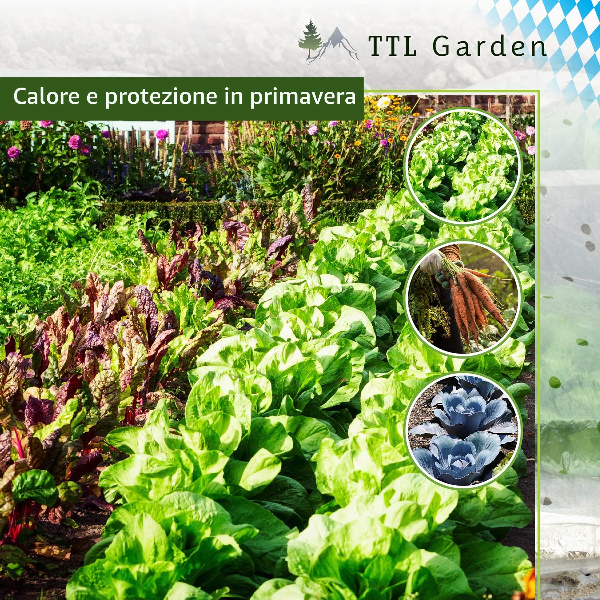 TTL Garden - Set di 12 fogli a tunnel da 65 x 60 cm, in acciaio rivestito, larghezza 65 cm, arco rotondo per copertura, aiuola rialzata, stabile e antiruggine