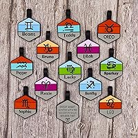 Vista 2 de Placa silenciosa para perro personalizada con 5 líneas de identificación de mascotas de silicona duradera y grabada profundamente, hexágono