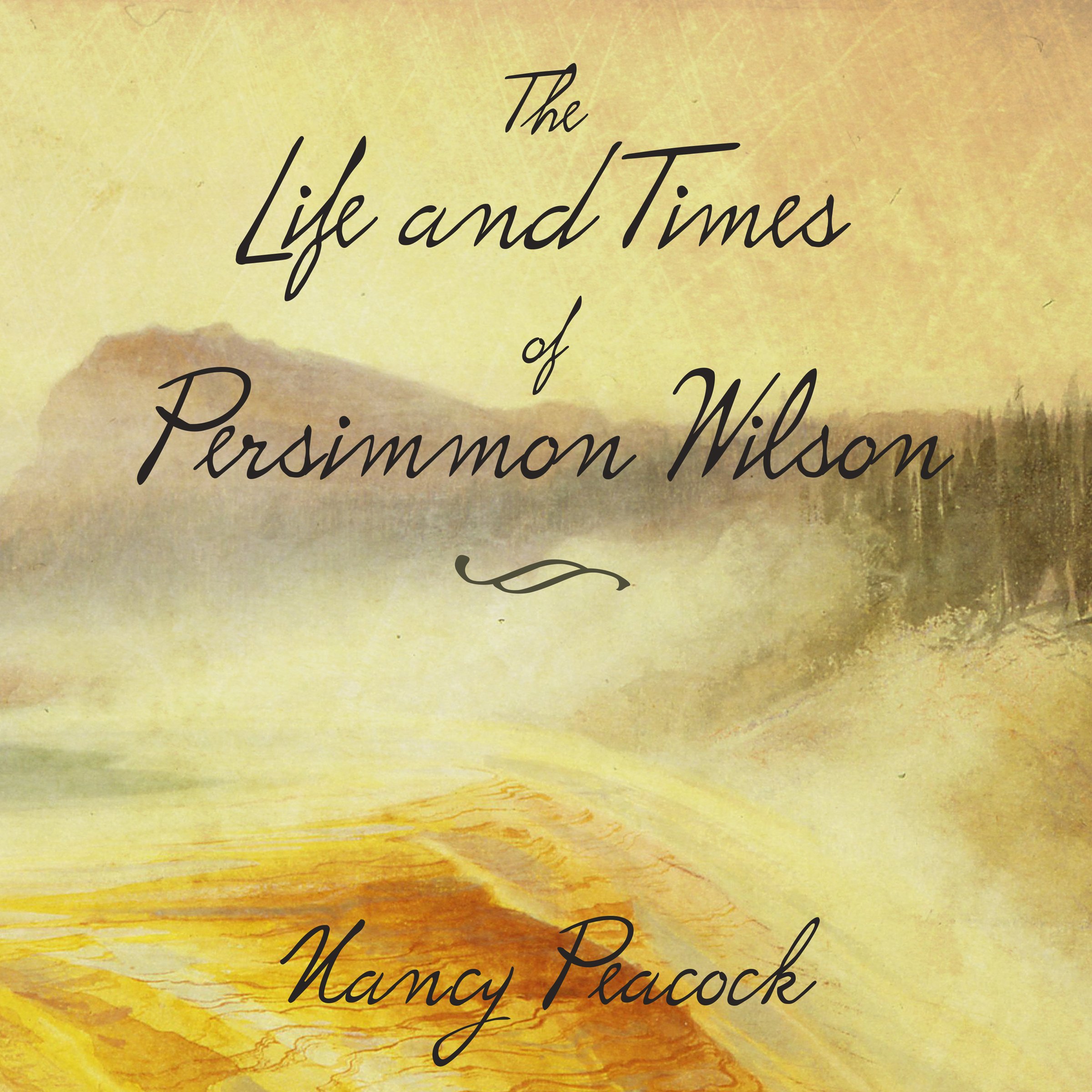 Cover art for The Life and Times of Persimmon Wilson