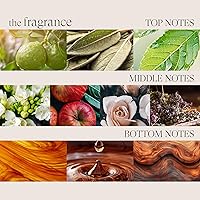 Vista 7 de L’ANZA Healing