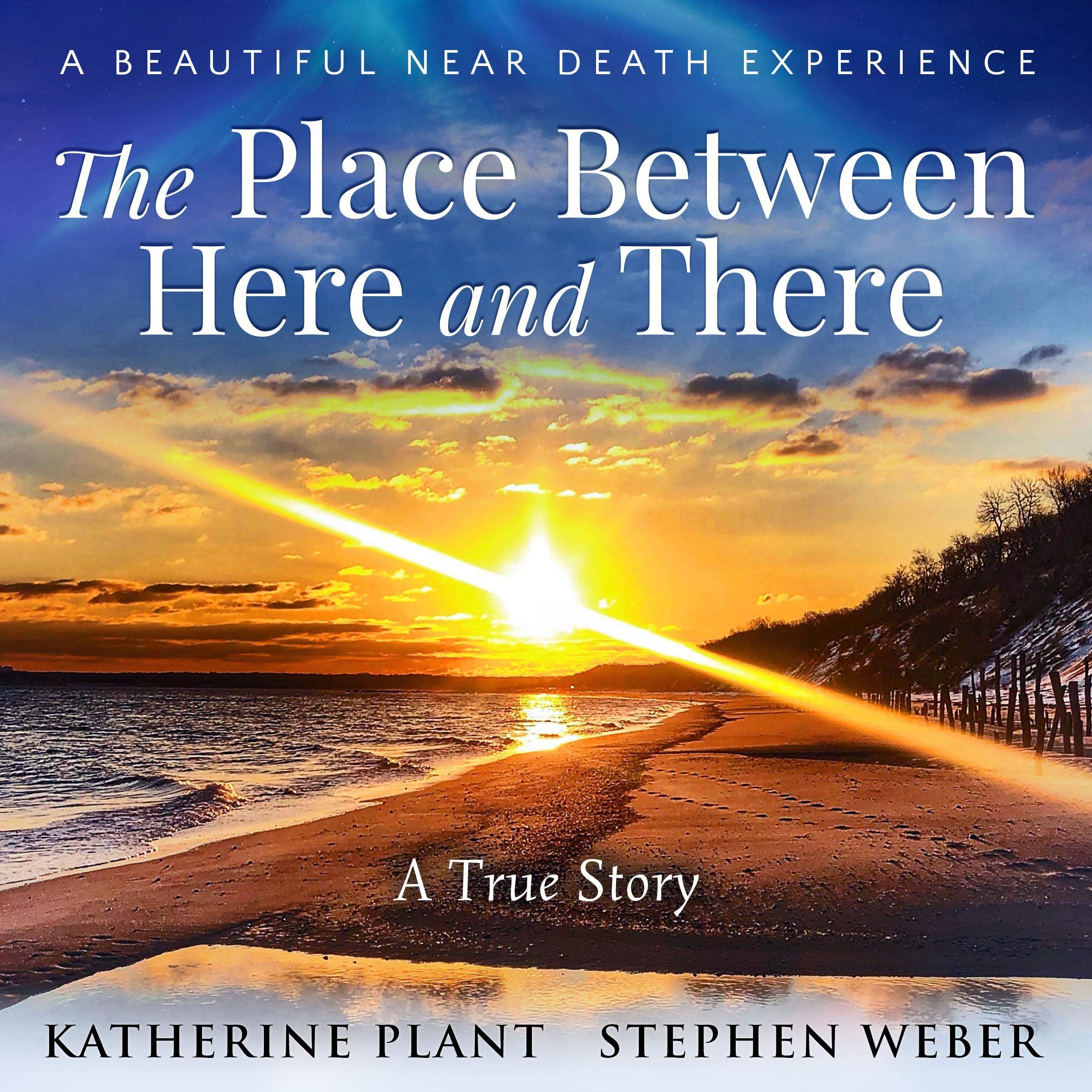 Cover art for The Place Between Here and There