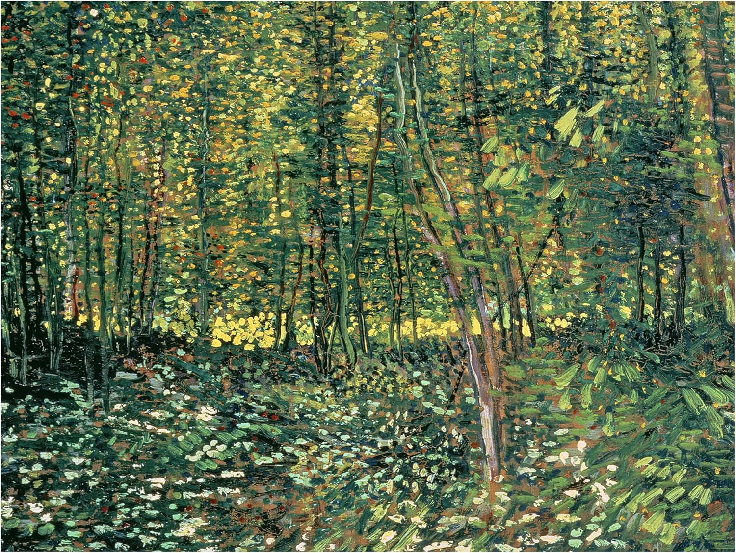 Wrapped Canvas Wall Art - Vincent Van Gogh 'Trees And Undergrowth, 1887' Wall Art for Living Room, Bedroom, or Office Décor - 18x24