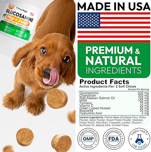 Miniatura 6 de Glucosamina para perros - Suplemento de cadera y articulaciones para perros - 170 masticables de movilidad - Glucosamina condroitina - MSM - Cúrcuma