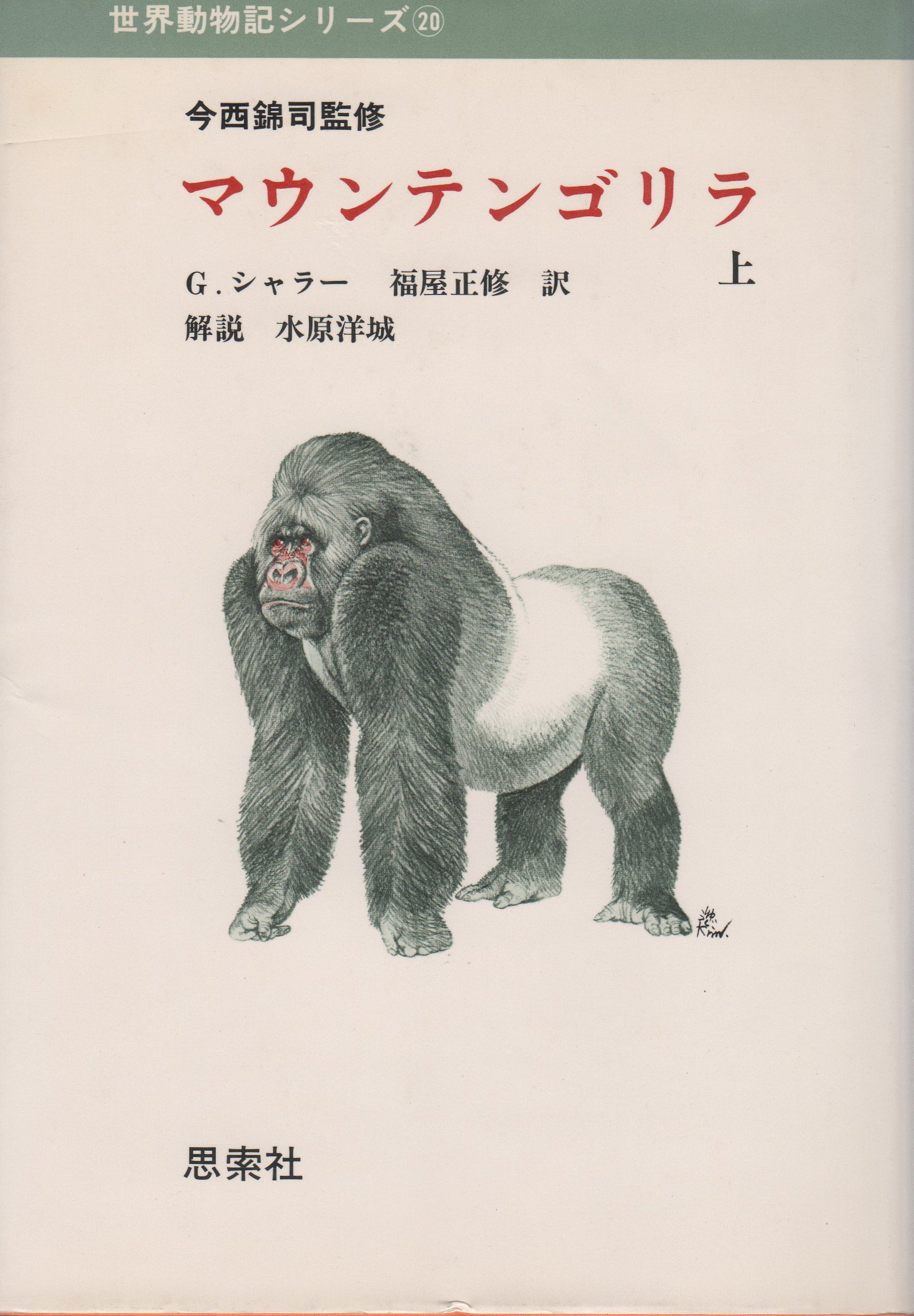 マウンテンゴリラ 上 1979年 世界動物記シリーズ G シャラー 福屋 正修 本 通販 Amazon マウンテンゴリラ 上 1979年 世界動物記シリーズ G シャラー 福屋 正修 本 通販 Amazon