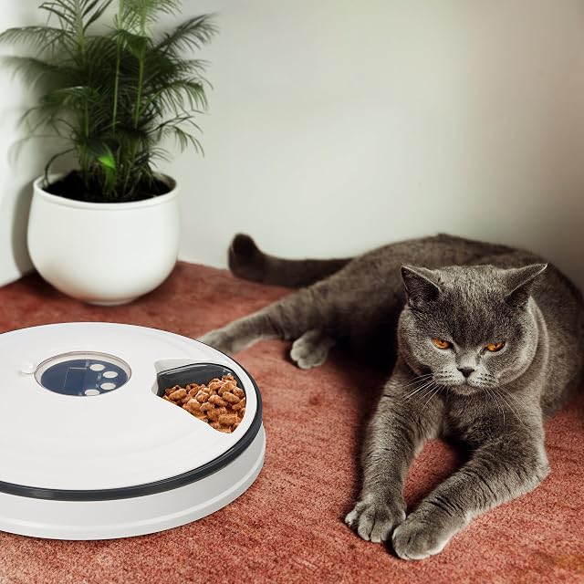 Foto 5 de 8 de Relaxdays Comedero Automático Gatos, Dispensador Alimentos, 6 Porciones, 5,5 x 30,5 cm, con Temporizador