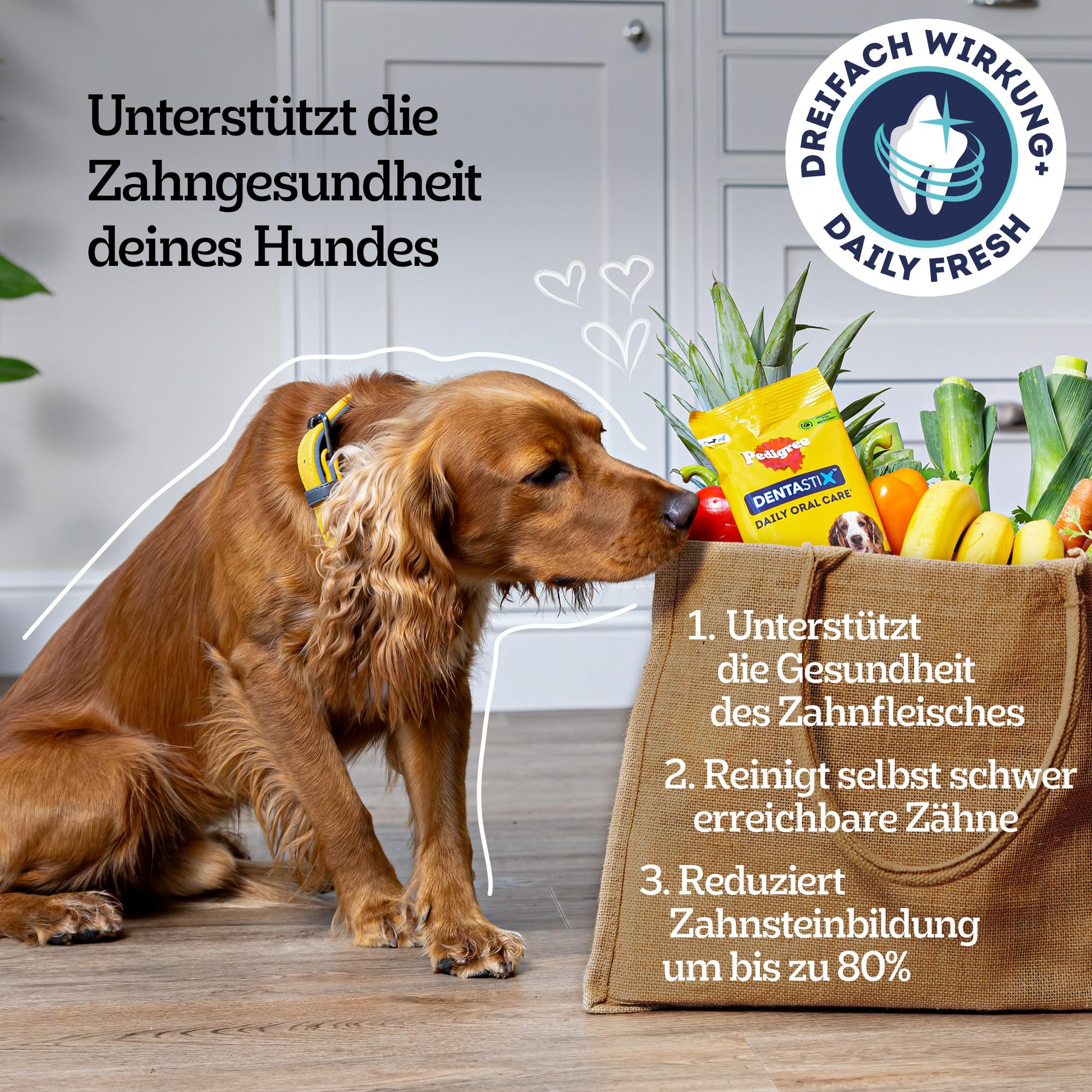 Pedigree Denta Stix Fresh/Zahnpflege-Snack für kleine Hunde
