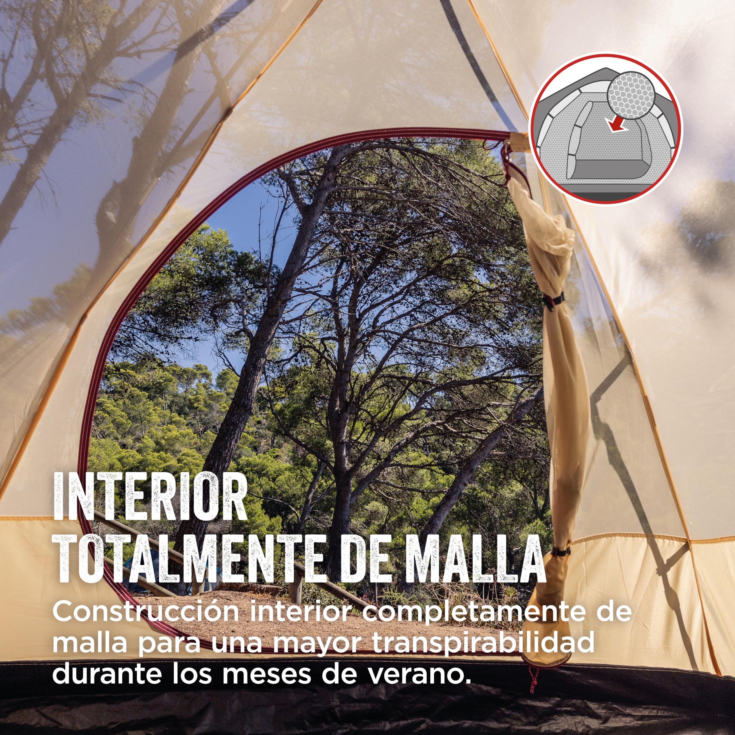 Coleman Tienda de campaña Darwin 4 Plus de Verano