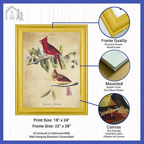 Miniatura 2 de Cardinal Grosbeak de James Audubon - Lienzo de 18 x 24 pulgadas en marco biselado dorado  Decoración artística enmarcada  Reproducción de pintura de