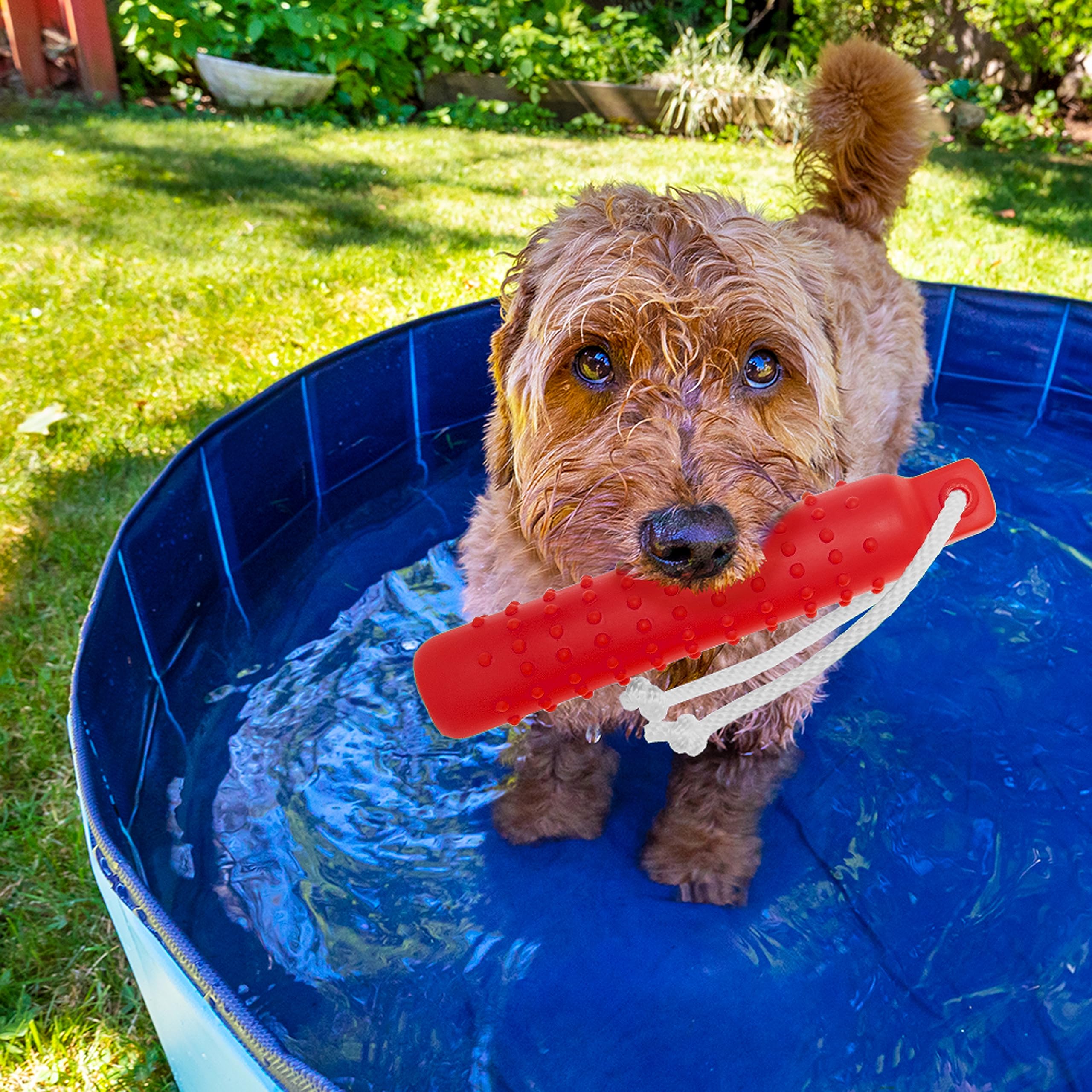 Wasserspielzeug für Hunde – Interaktives Apportier-Hundespielzeug schwimmen auf Wasserpool für Training, Apportieren, Jagen, Stoßstange im Freien – lustiges Puzzle-Hundespielzeug mit Seil für