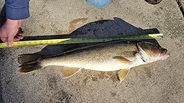 Review Image by Michael