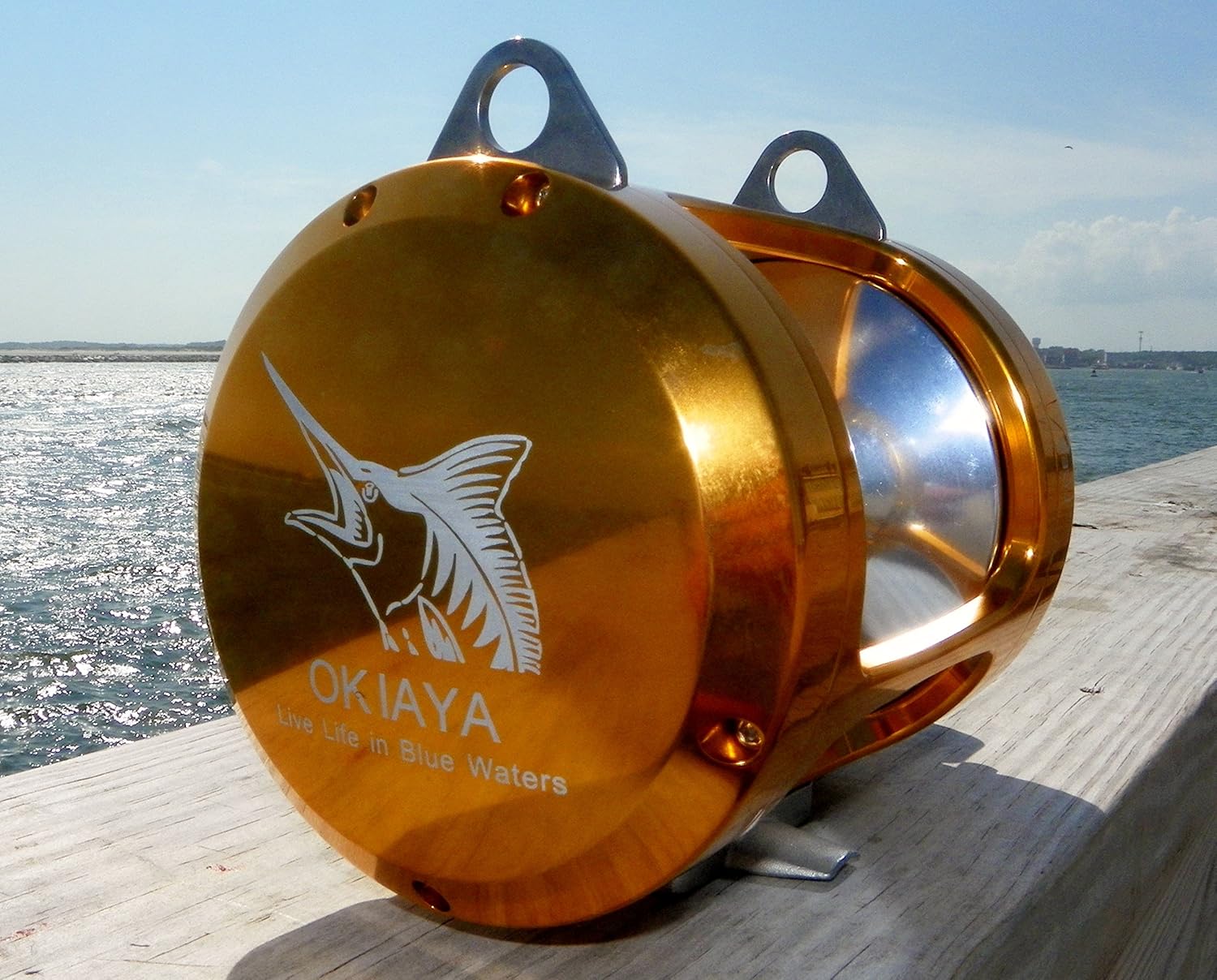 OKIAYA Marlin Series Pro National 50W-II 2 Speed Reel with AXR Drag