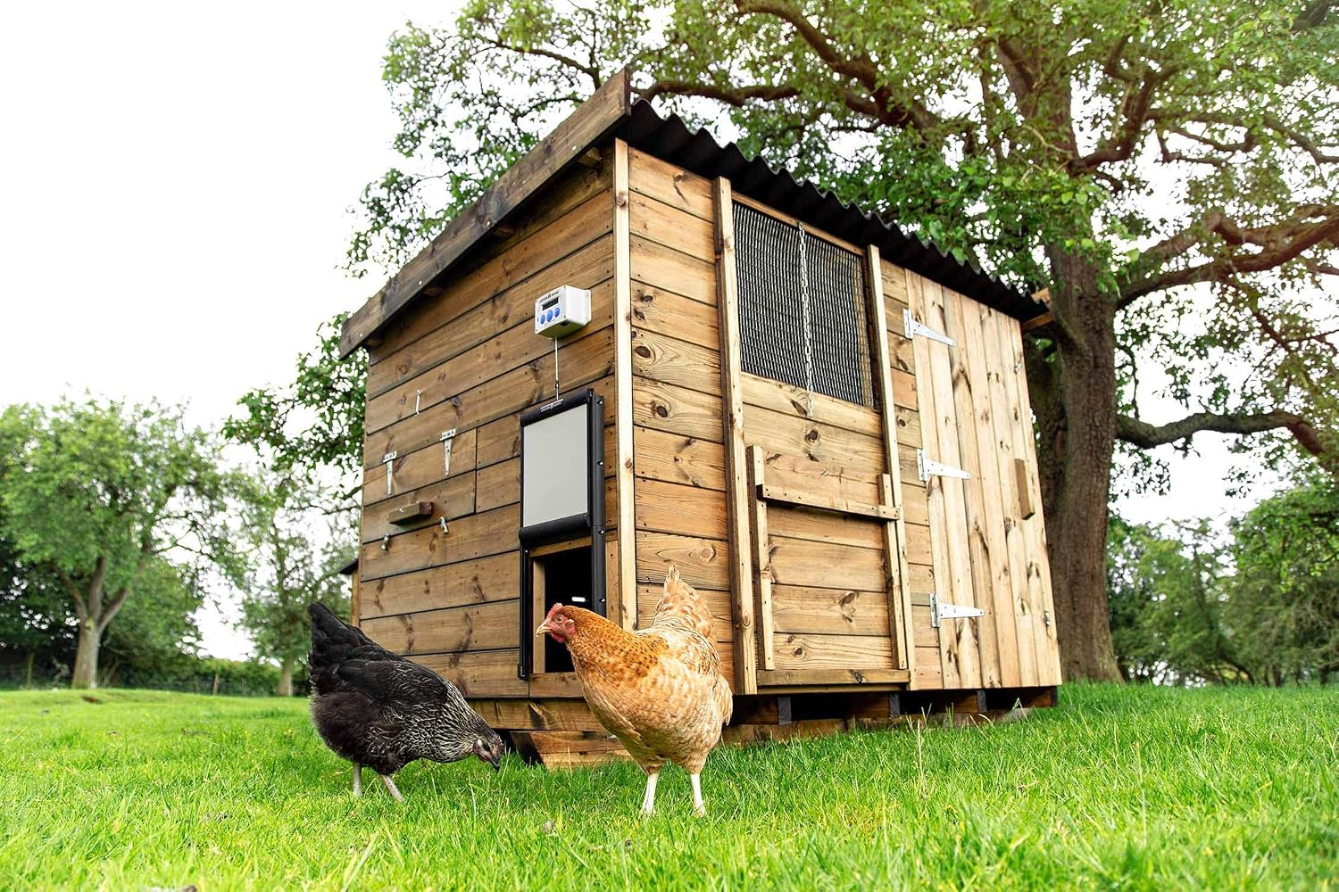 ChickenGuard Waterproof Automatic Chicken Coop Door Opener/Closer with Timer/Light Sensor Plus Predator Resistant Self Locking Pop Hole Door Kit. Coop Accessory (P)